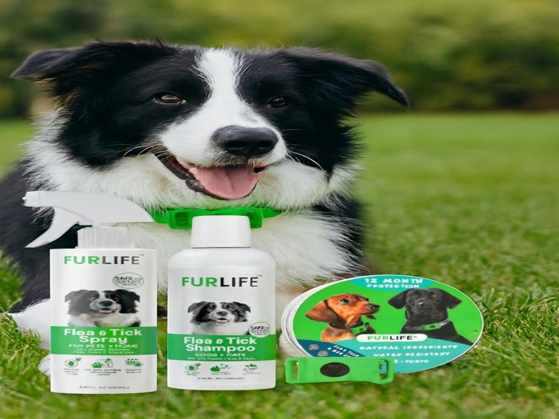 FurLife Your Premier Resource for High Quality Pet Care Products